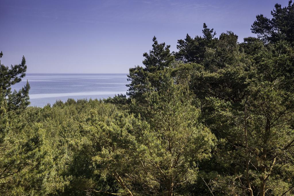 Baltic View Apartment ジブヌベク 部屋 写真